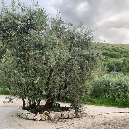 Agriturismo Torre Ercolana アナーニ エクステリア 写真