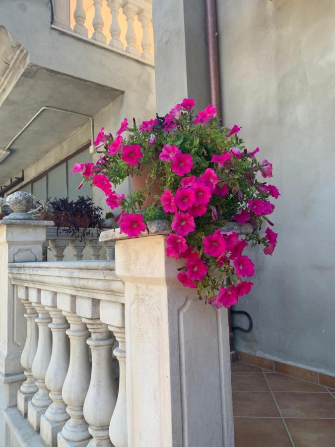 Agriturismo Torre Ercolana アナーニ エクステリア 写真