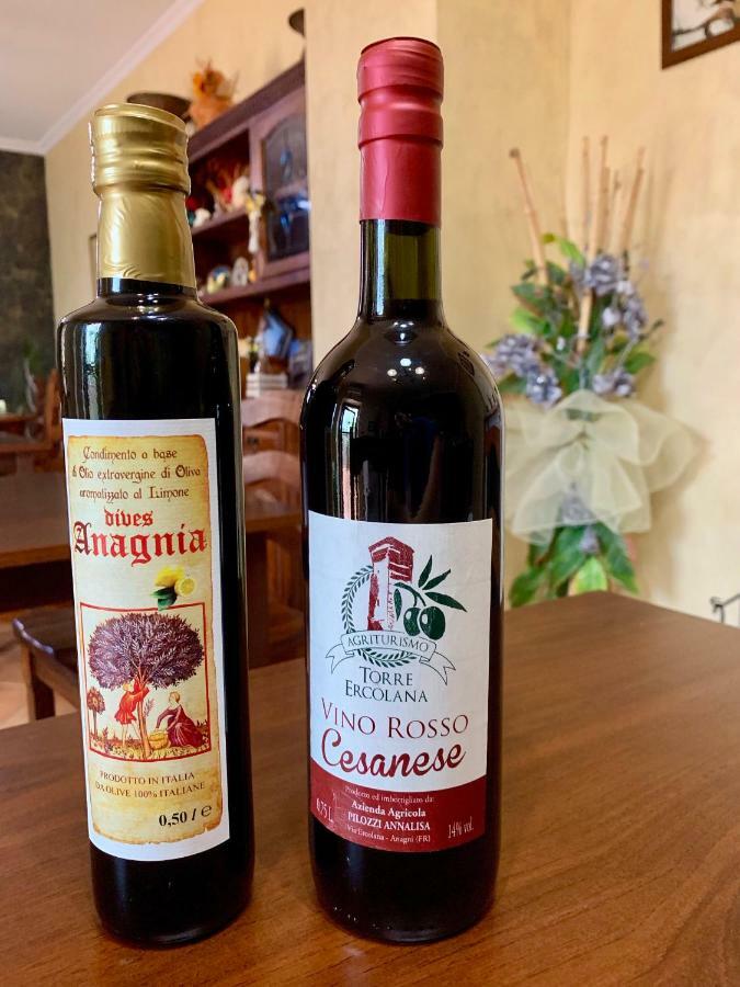 Agriturismo Torre Ercolana アナーニ エクステリア 写真